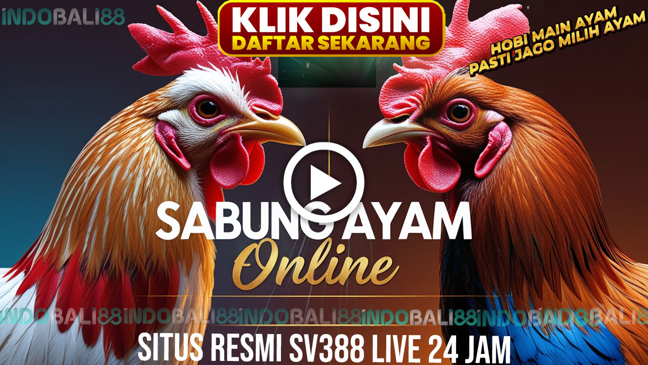 SABUNG AYAM ONLINE