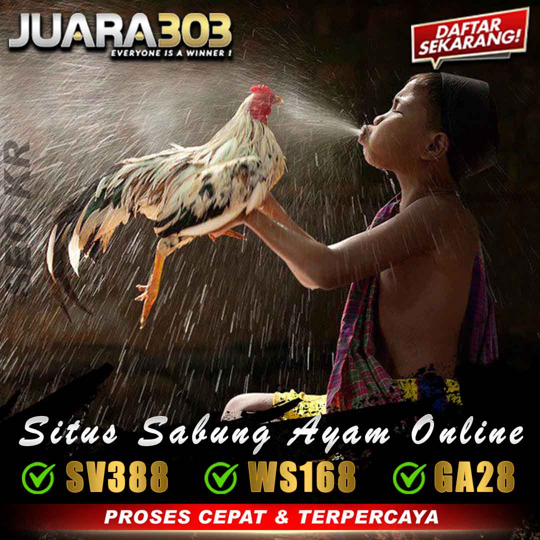 banner Sabung Ayam Online 