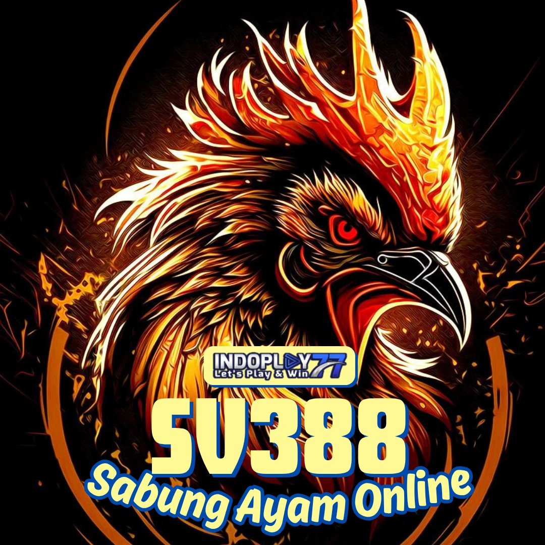 SV388 📱 Situs Viral Sabung Ayam Online Indoplay77 Laga Wala Meron