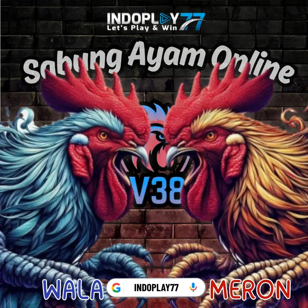 Sabung Ayam Online 🐓 SV388 di Indoplay77 Format Wala Meron Paling Seru